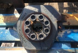 Zwrotnica - Dana Spicer