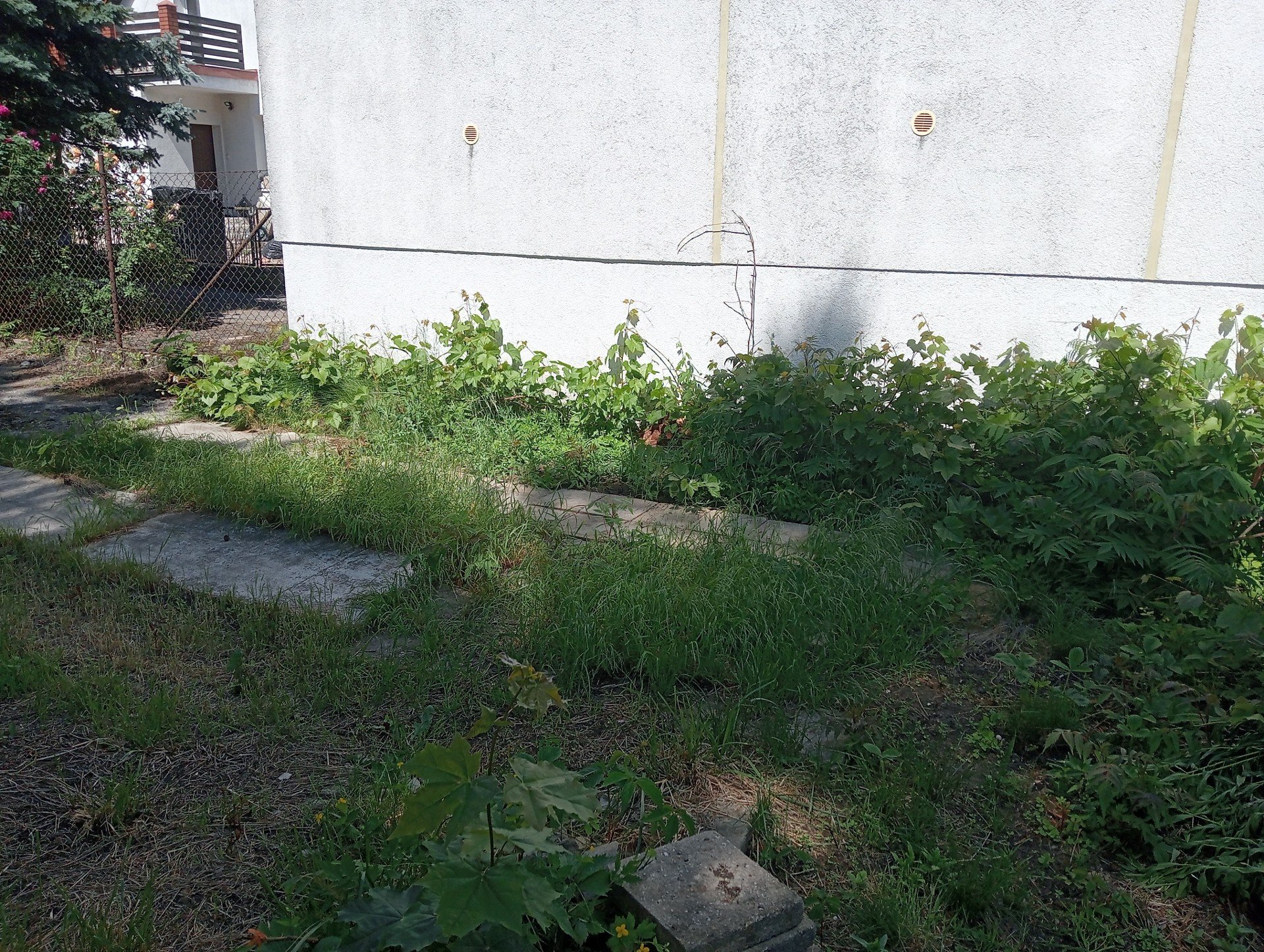 Mieszkanie – Poznań, Osiedle Kwiatowe - Widok 4