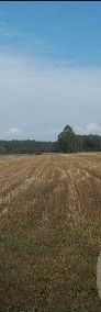 Działka rolna Ostrybór Ostrybór-4