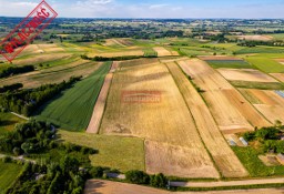 Działka rolna Grębocin