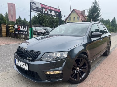 RS 2,0TDI-184KM Zarejestrowany, Navi, Xenon, Alufelgi...-1