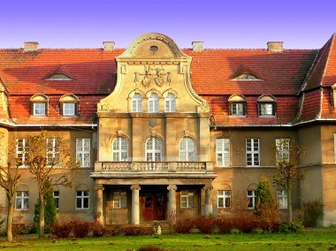 Kup Pałac w Proślicach w dolinie słowików (gmina Byczyna)-1