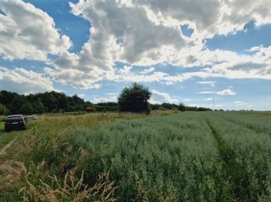 46a w pięknej, zielonej lokalizacji gm.Skawina-1