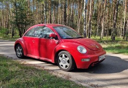 Volkswagen New Beetle Vw nee beetle.