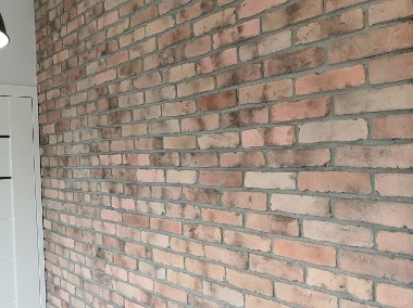 Stare cegły na ścianę -1