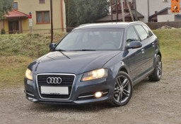 Audi A3 II (8P) Klima Alu