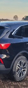 Escape 1.5 Benzyna 180KM 4x4 wer.SEL 2022r-4