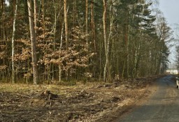 Działka leśna Powązki, ul. Dębowa