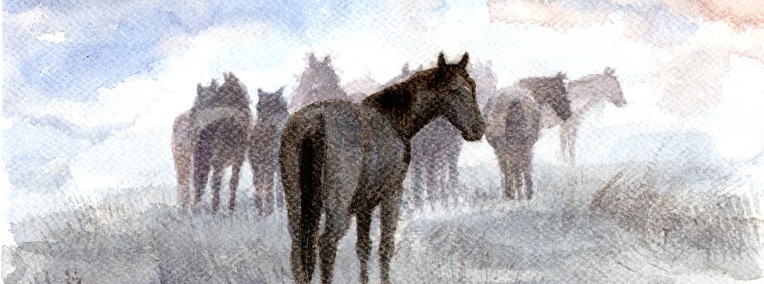 KONIE o świcie na pastwisku koń akwarela format A4-1