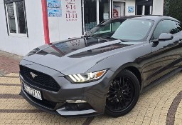 Ford Mustang VI