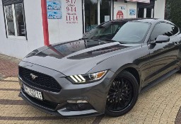 Ford Mustang VI