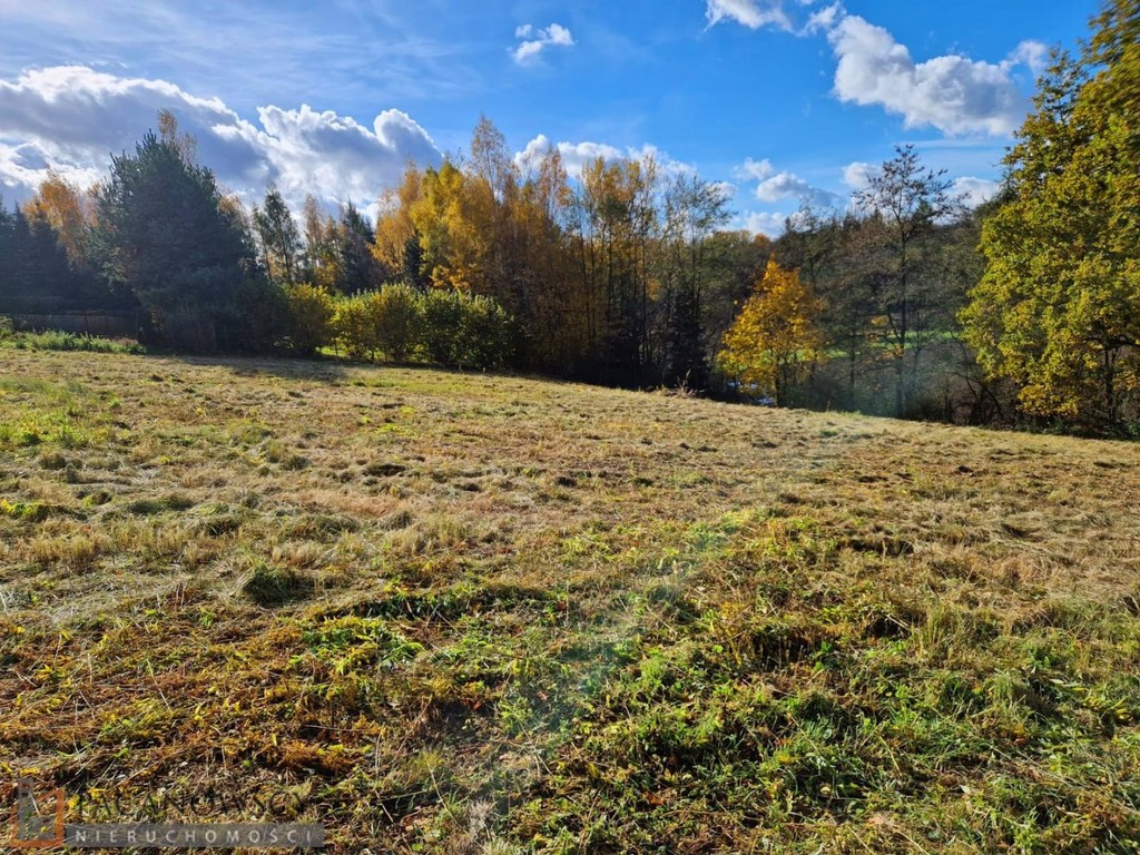 Działka na sprzedaż, 3543 m², Iwanowice Maszków - Widok 2