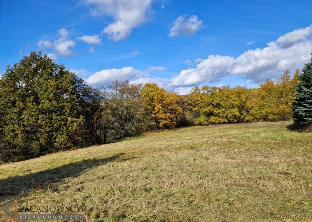 Działka na sprzedaż, 3543 m², Iwanowice Maszków - Widok 4