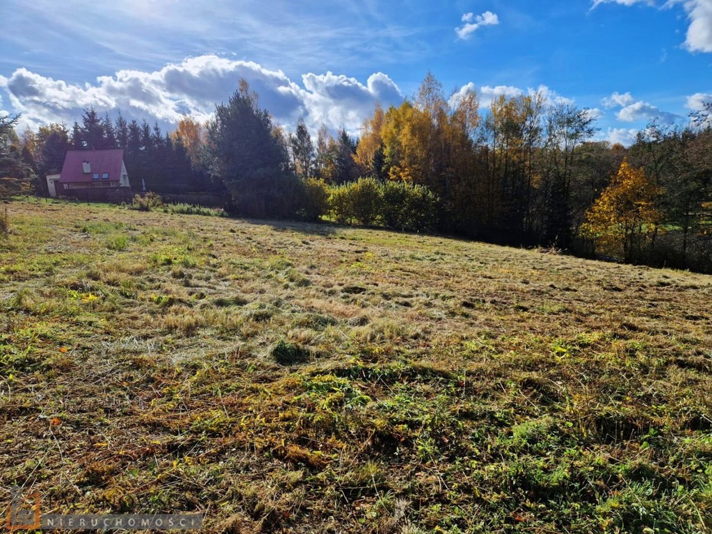 Działka na sprzedaż, 3543 m², Iwanowice Maszków - Widok 5