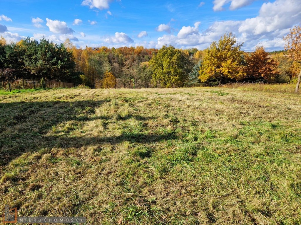 Działka na sprzedaż, 3543 m², Iwanowice Maszków - Widok 6