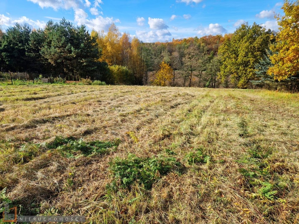 Działka na sprzedaż, 3543 m², Iwanowice Maszków - Więcej