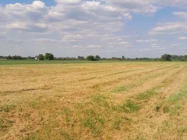 Siedlisko 1,11 ha, Łęg Gmina Konstancin-Jeziorna-1