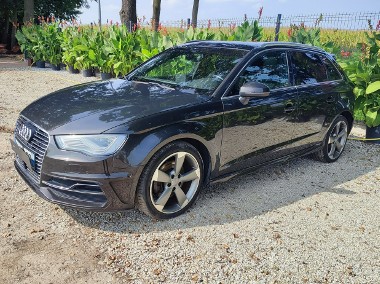 Audi A3 III (8V) Turbo Hybrid e tron 4x4-1