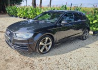 Audi A3 III (8V) Turbo Hybrid e tron 4x4