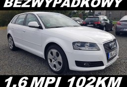 Audi A3 II (8P) 1.6 MPI 102KM SPORTBACK 5 drzwi ZobaczFILM Bezwypadkowy Alu17