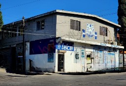 Lokal Tijuana