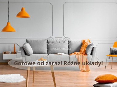 3 pokoje/Od zaraz/Tramwaj/Winda/Różne układy-1