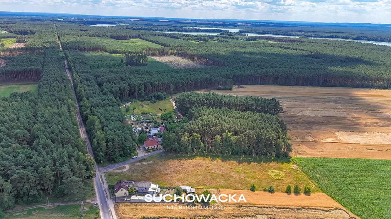 Duża działka 7600 m² | WZ na dom | blisko lasu - Widok 2