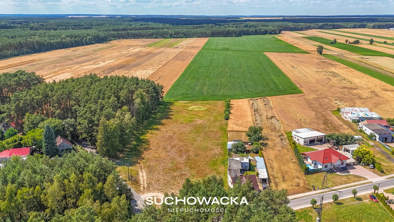 Duża działka 7600 m² | WZ na dom | blisko lasu - Widok 3