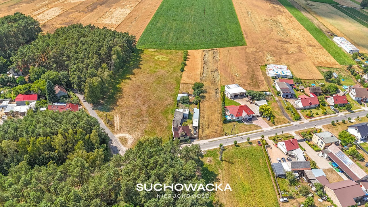 Duża działka 7600 m² | WZ na dom | blisko lasu - Widok 4