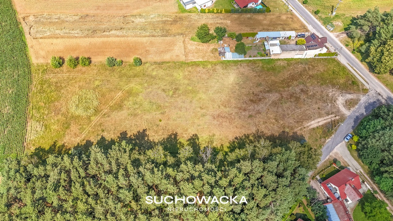 Duża działka 7600 m² | WZ na dom | blisko lasu - Widok 6