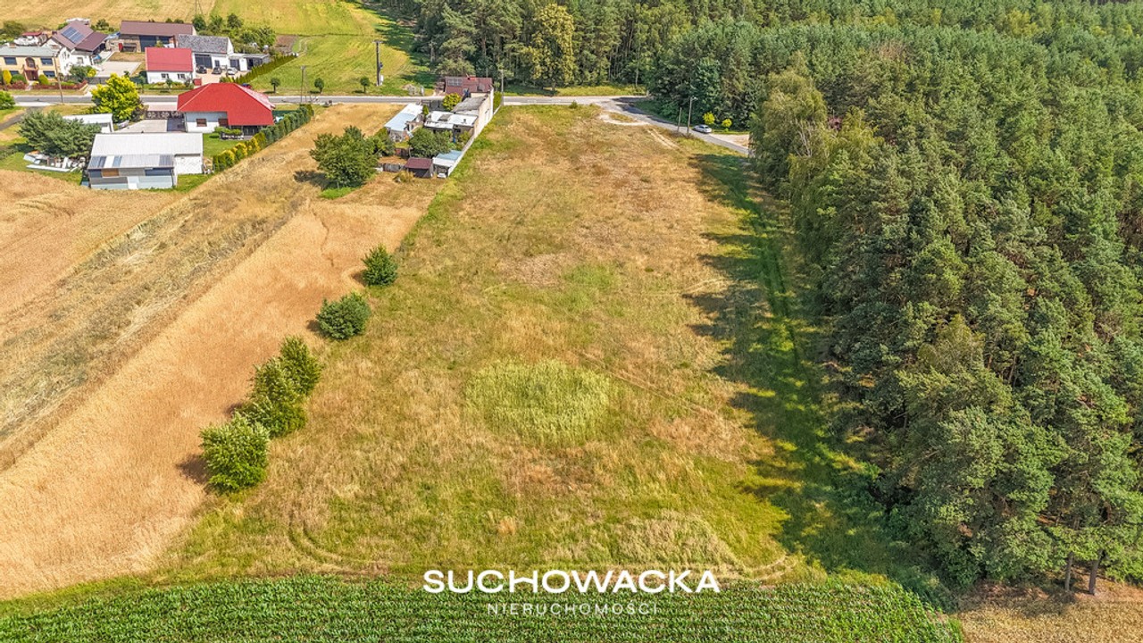 Duża działka 7600 m² | WZ na dom | blisko lasu - Więcej