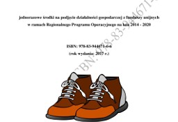 BIZNESPLAN produkcja butów wełnianych – rękodzieło (przykład) 2017