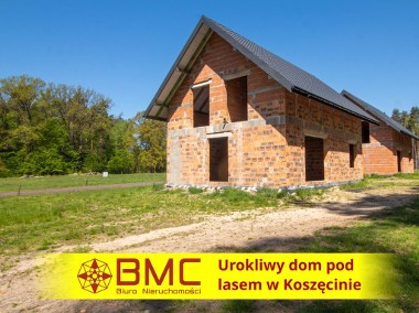 Uroczy dom pod lasem w Koszęcinie-1
