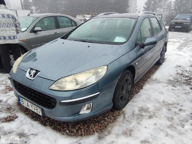 Peugeot 407-1