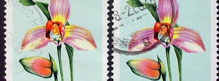 Znaczki polskie rok 1965 Fi 1465 odcienie - 2 znaczki-1