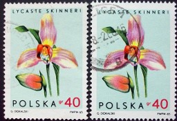 Znaczki polskie rok 1965 Fi 1465 odcienie - 2 znaczki