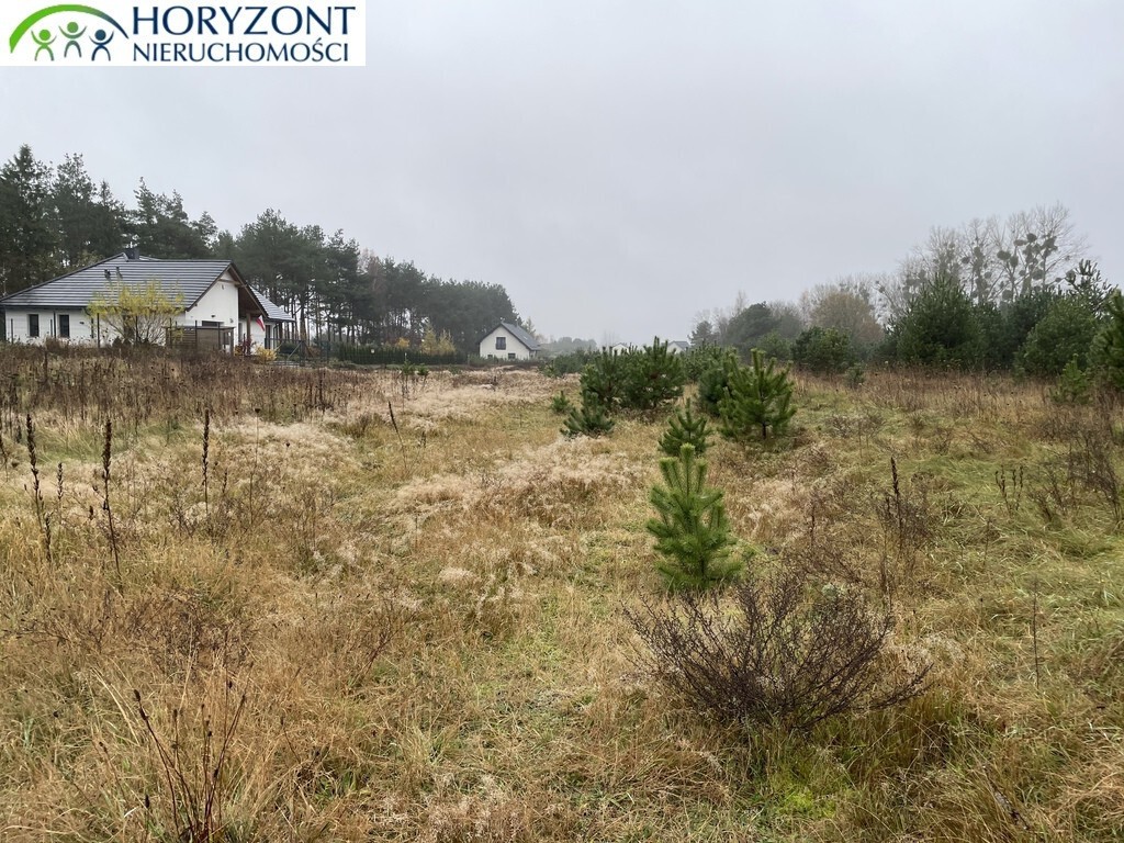 Bojano - Wiczlino,działki budowlane - Widok 4