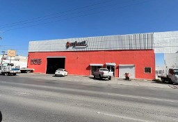 Lokal Torreón