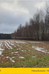 Działki na terenie lasów i zalesień w Wojnowie-2