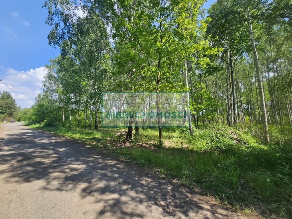 Działka 1200 m², 2.5 km do stacji PKP, MPZP, grodziski