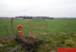 Działka usługowa Lubecko