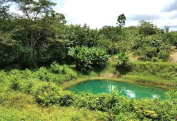 Działka inna Phang Nga