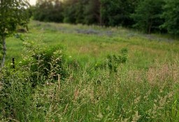 Działka budowlana Bieruń, ul. Skowronków