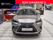 Lexus NX NX 14- 300h Optimum AWD