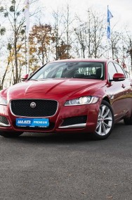 Jaguar XF X260 Salon Polska, 180 KM, Automat, Skóra, Navi, Xenon, Bi-Xenon,-2