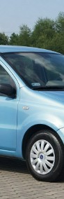 Fiat Panda II SALON PL . TYLKO 143 TYS. KM. ZADBANY WSP.KIEROWNICY-3