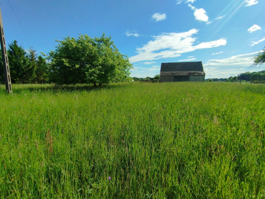 Radłów ul. Szkolna 9,30 ar - Widok 3
