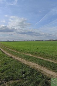 Działka rolna w Poczerninie-2