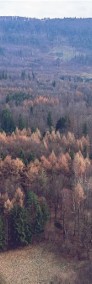Widokowe działki leśne w Beskidach-4
