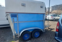 Trailor Do przewozu 2zwierząt .zadbana.gotowa do pracy